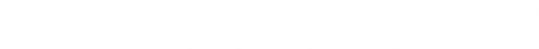 What is SNO Bunni?